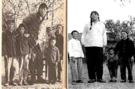 Zeng Jinlian Height The Extraordinary Life of the Tallest Woman in Recorded History (2026 Update)