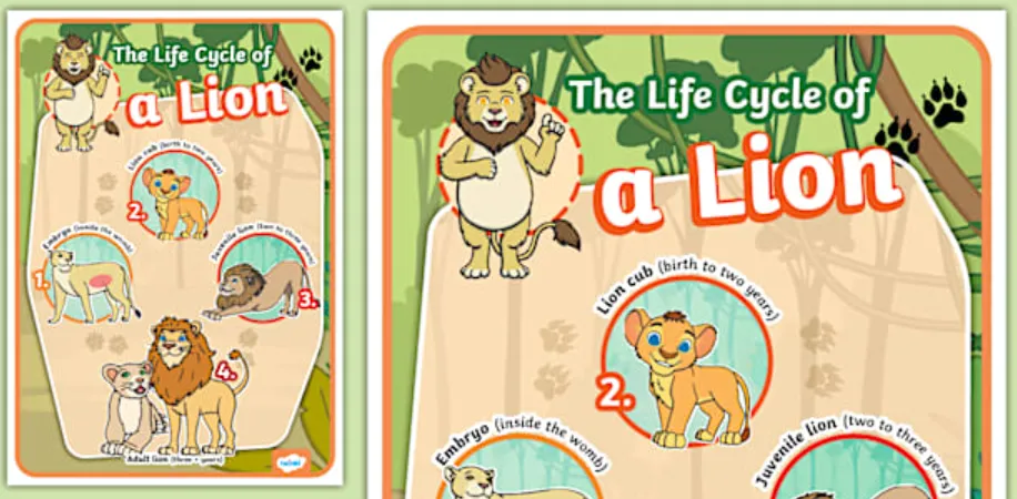 Lion Life Cycle Complete Guide to Growth, Survival, and Reproduction in the Wild