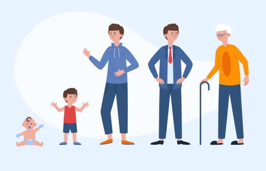 The Life Cycle of Human Life Evolution, Development, and Survival in Nature (Complete Guide 2026)