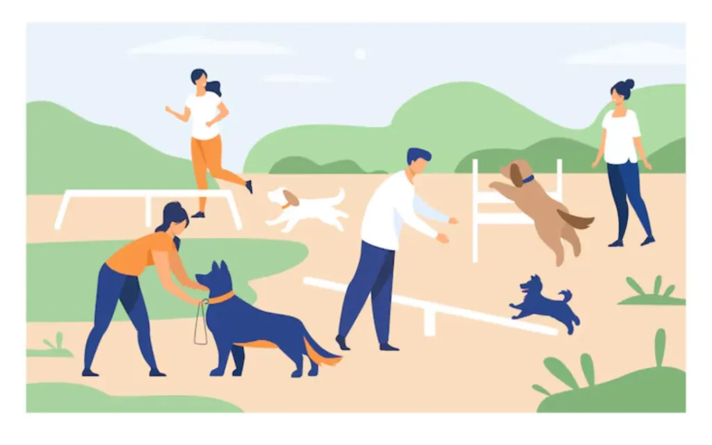 Life Cycle of a Dog