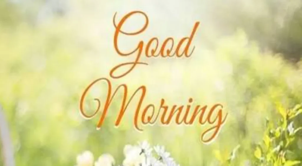 blessed wednesday