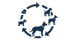 Life Cycle of a Dog