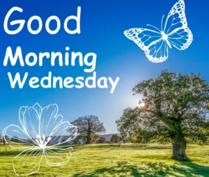good morning wednesday blessings