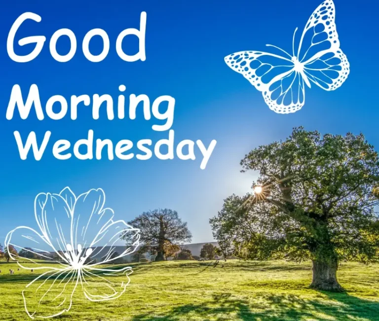 good morning wednesday blessings